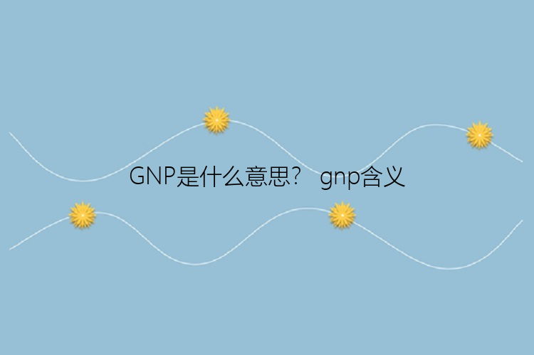 GNP是什么意思？ gnp含义