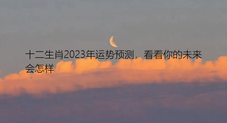 十二生肖2023年运势预测，看看你的未来会怎样