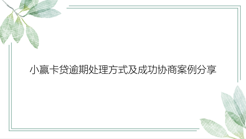 小赢卡贷逾期处理方式及成功协商案例分享