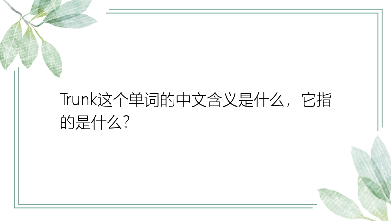 Trunk这个单词的中文含义是什么，它指的是什么？