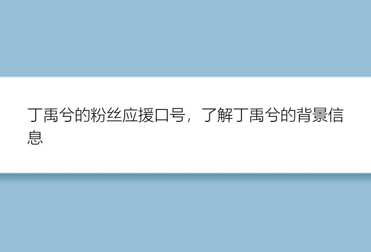 丁禹兮的粉丝应援口号，了解丁禹兮的背景信息