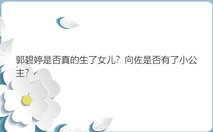 郭碧婷是否真的生了女儿？向佐是否有了小公主？