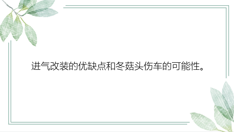 进气改装的优缺点和冬菇头伤车的可能性。