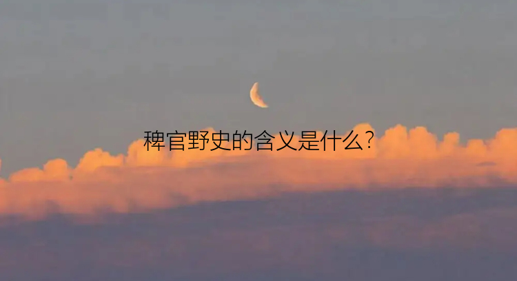 稗官野史的含义是什么？