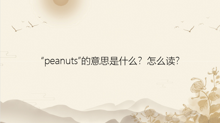 “peanuts”的意思是什么？怎么读？