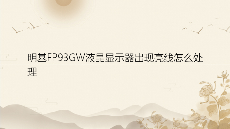 明基FP93GW液晶显示器出现亮线怎么处理