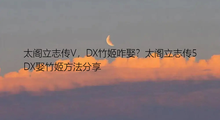 太阁立志传V，DX竹姬咋娶？太阁立志传5DX娶竹姬方法分享