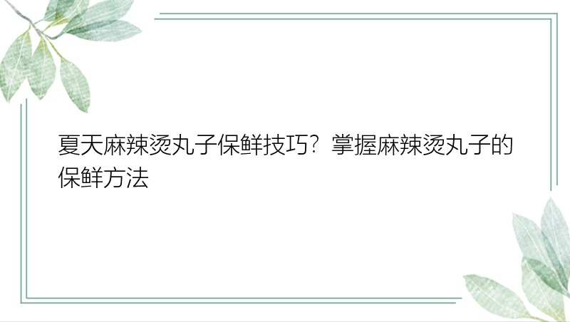 夏天麻辣烫丸子保鲜技巧？掌握麻辣烫丸子的保鲜方法