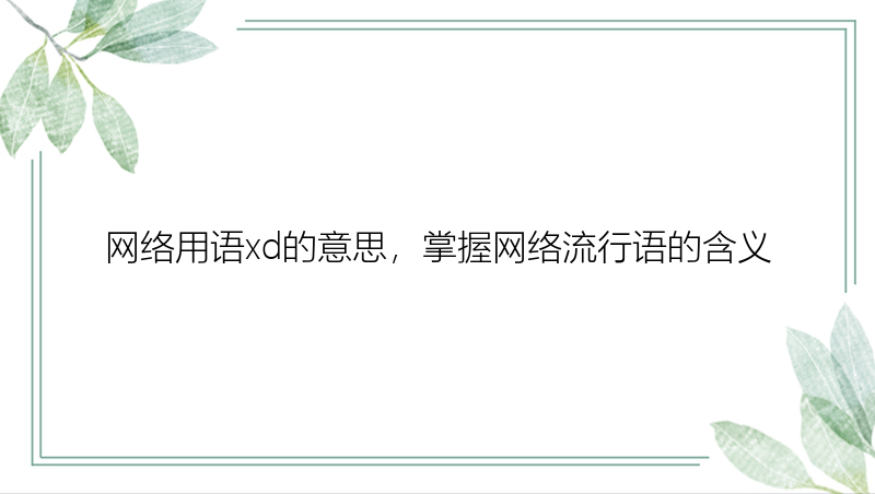 网络用语xd的意思，掌握网络流行语的含义