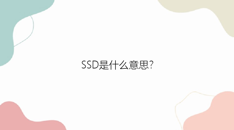 SSD是什么意思？