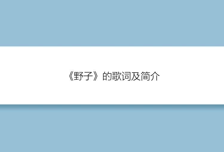 《野子》的歌词及简介