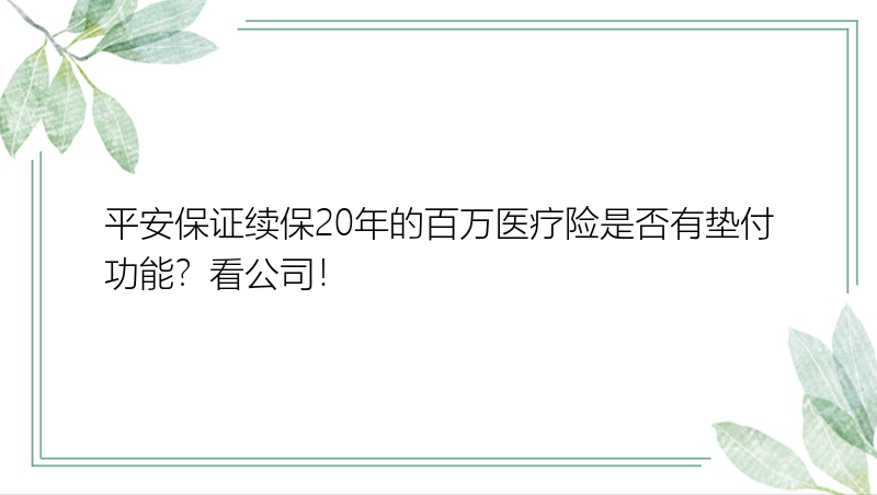 平安保证续保20年的百万医疗险是否有垫付功能？看公司！