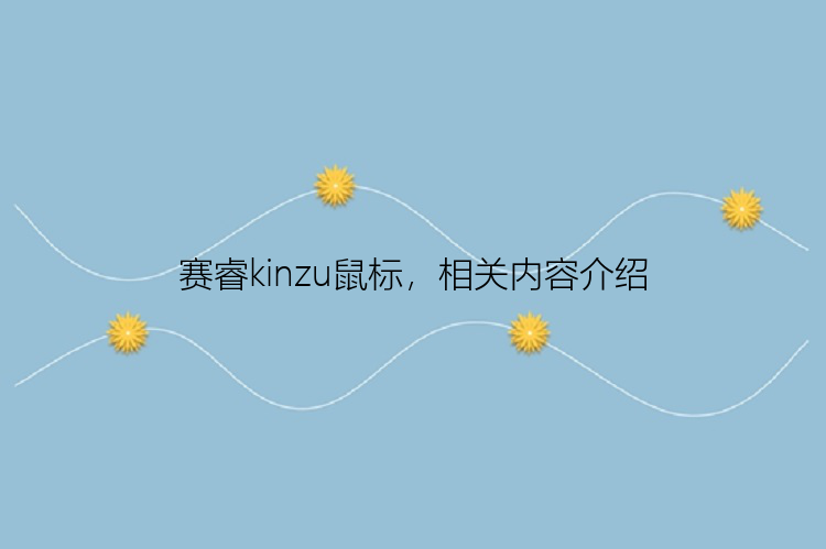 赛睿kinzu鼠标，相关内容介绍