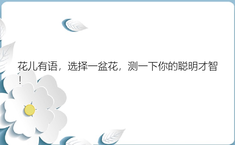 花儿有语，选择一盆花，测一下你的聪明才智！