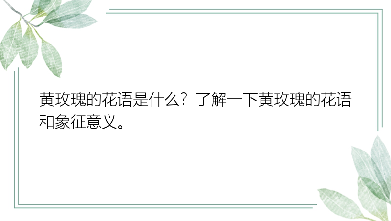 黄玫瑰的花语是什么？了解一下黄玫瑰的花语和象征意义。