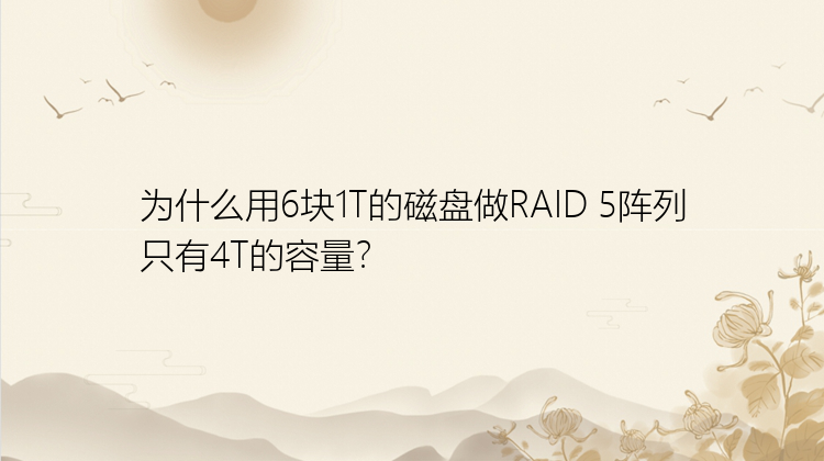 为什么用6块1T的磁盘做RAID 5阵列只有4T的容量？