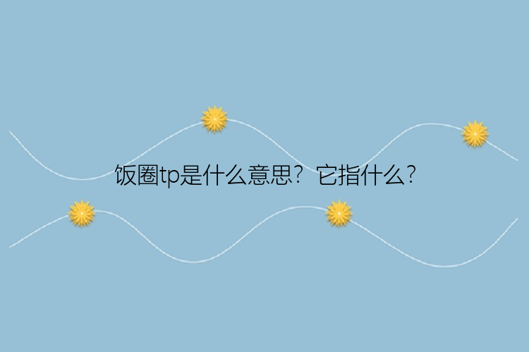 饭圈tp是什么意思？它指什么？