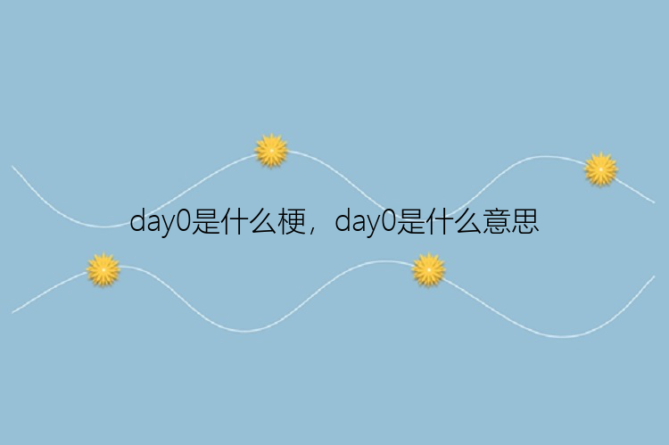 day0是什么梗，day0是什么意思