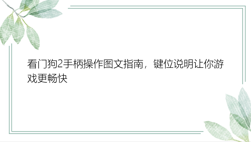 看门狗2手柄操作图文指南，键位说明让你游戏更畅快