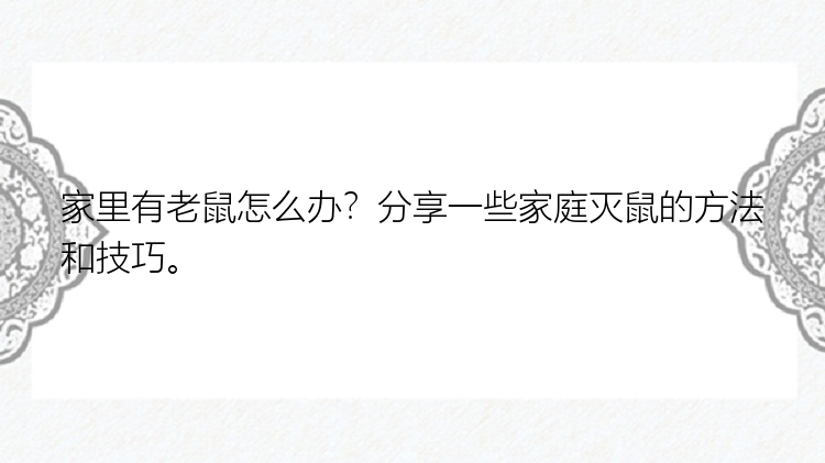 家里有老鼠怎么办？分享一些家庭灭鼠的方法和技巧。