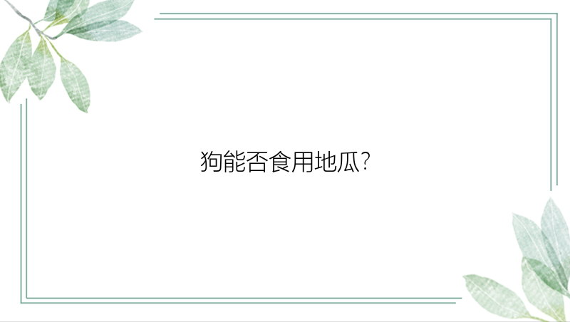 狗能否食用地瓜？