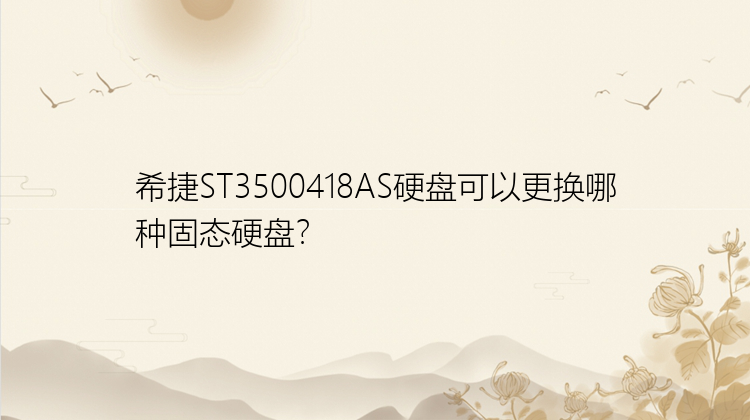 希捷ST3500418AS硬盘可以更换哪种固态硬盘？