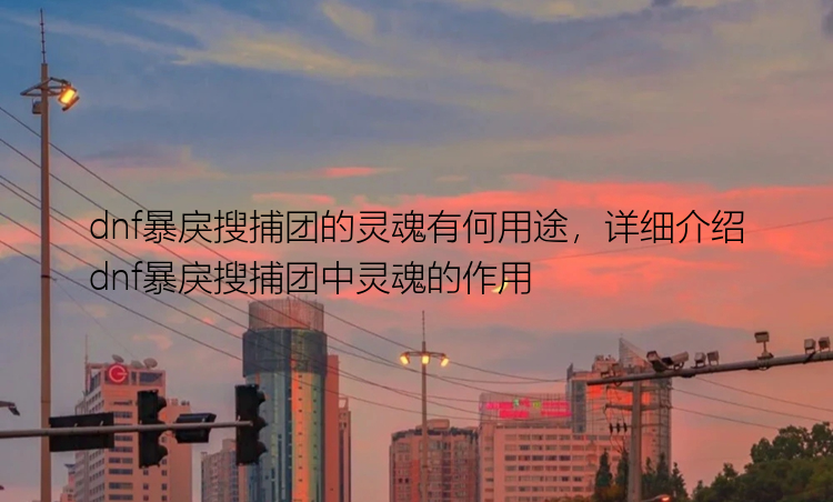 dnf暴戾搜捕团的灵魂有何用途，详细介绍dnf暴戾搜捕团中灵魂的作用