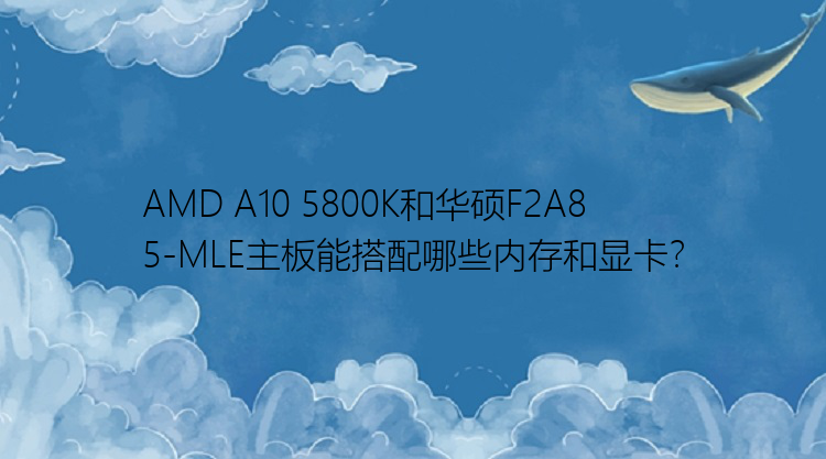AMD A10 5800K和华硕F2A85-MLE主板能搭配哪些内存和显卡？
