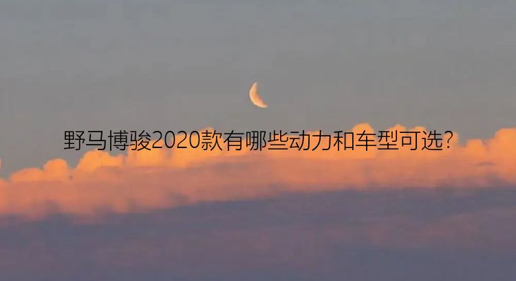 野马博骏2020款有哪些动力和车型可选？