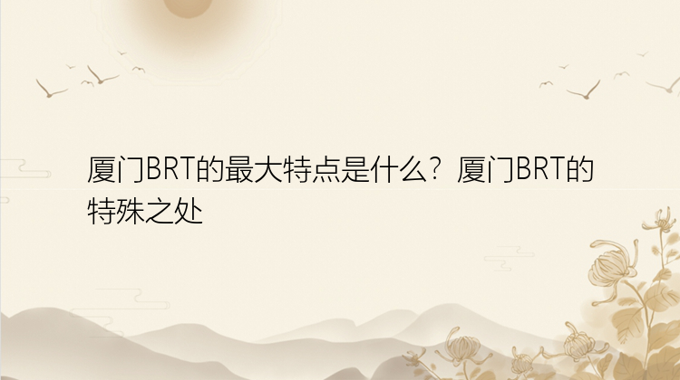 厦门BRT的最大特点是什么？厦门BRT的特殊之处