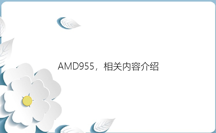 AMD955，相关内容介绍