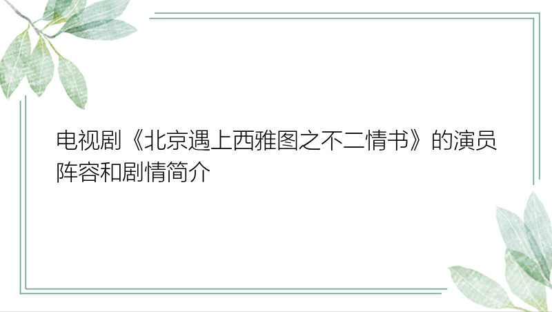 电视剧《北京遇上西雅图之不二情书》的演员阵容和剧情简介