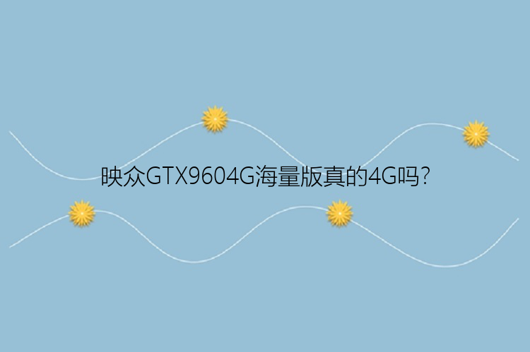 映众GTX9604G海量版真的4G吗？