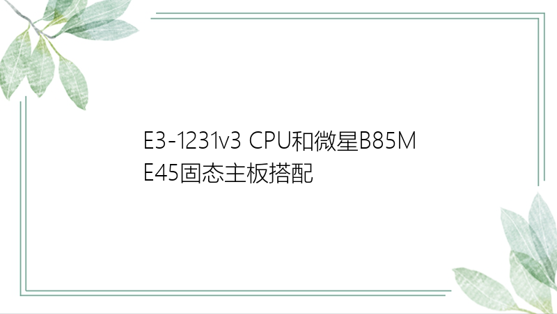 E3-1231v3 CPU和微星B85ME45固态主板搭配