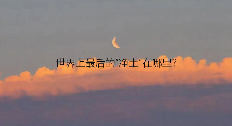 世界上最后的“净土”在哪里？