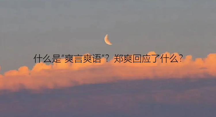 什么是“爽言爽语”？郑爽回应了什么？