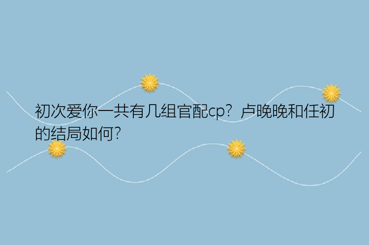 初次爱你一共有几组官配cp？卢晚晚和任初的结局如何？