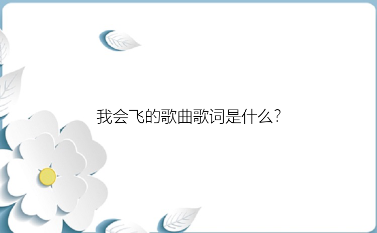 我会飞的歌曲歌词是什么？