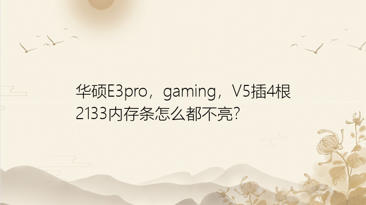 华硕E3pro，gaming，V5插4根2133内存条怎么都不亮？