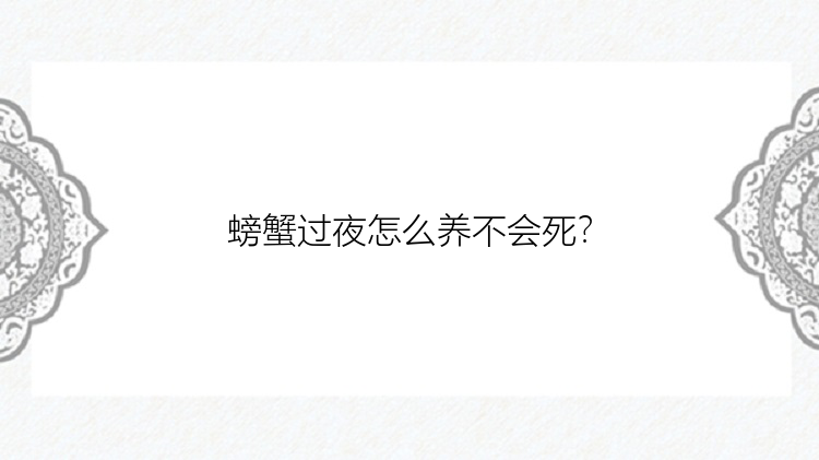 螃蟹过夜怎么养不会死？