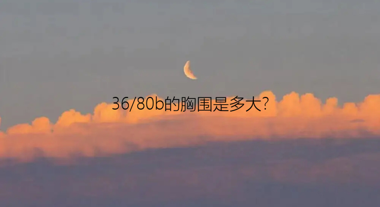 36/80b的胸围是多大？