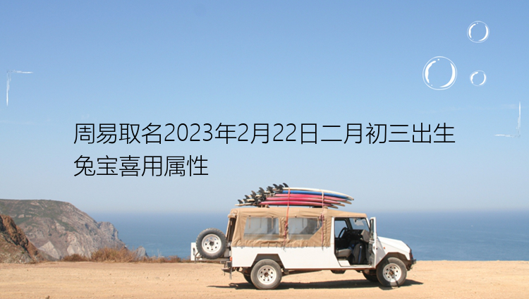 周易取名2023年2月22日二月初三出生兔宝喜用属性