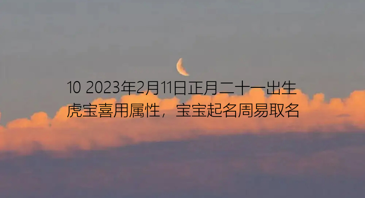 10 2023年2月11日正月二十一出生虎宝喜用属性，宝宝起名周易取名