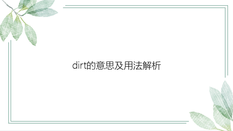 dirt的意思及用法解析