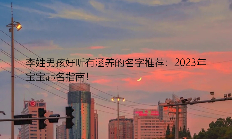 李姓男孩好听有涵养的名字推荐：2023年宝宝起名指南！