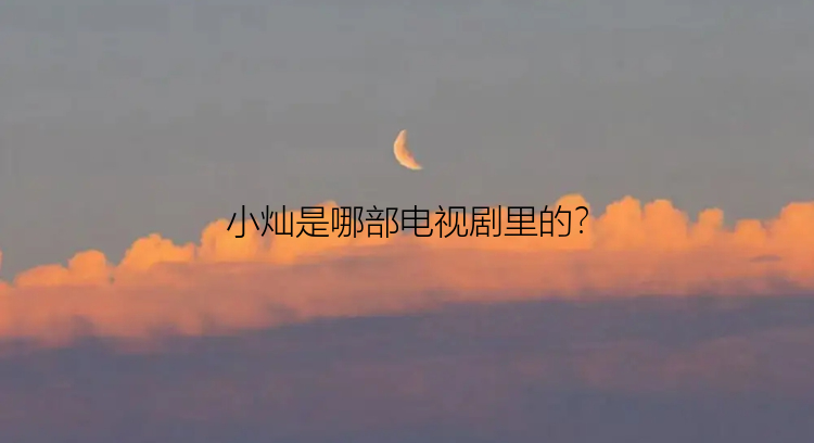 小灿是哪部电视剧里的？