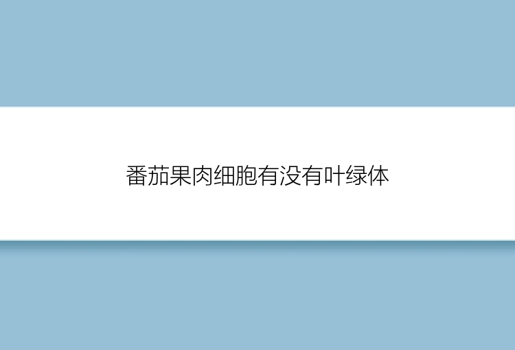 番茄果肉细胞有没有叶绿体