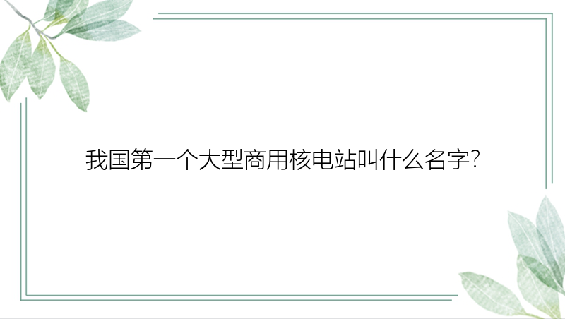 我国第一个大型商用核电站叫什么名字？