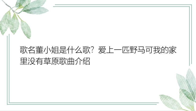 歌名董小姐是什么歌？爱上一匹野马可我的家里没有草原歌曲介绍