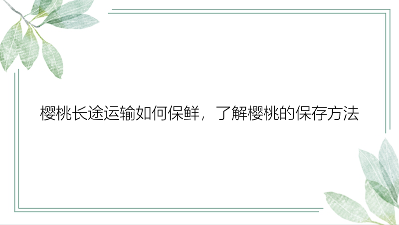 樱桃长途运输如何保鲜，了解樱桃的保存方法